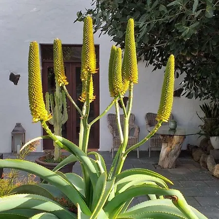 Holiday home Finca-botanico-garden-apartment *